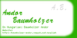 andor baumholzer business card